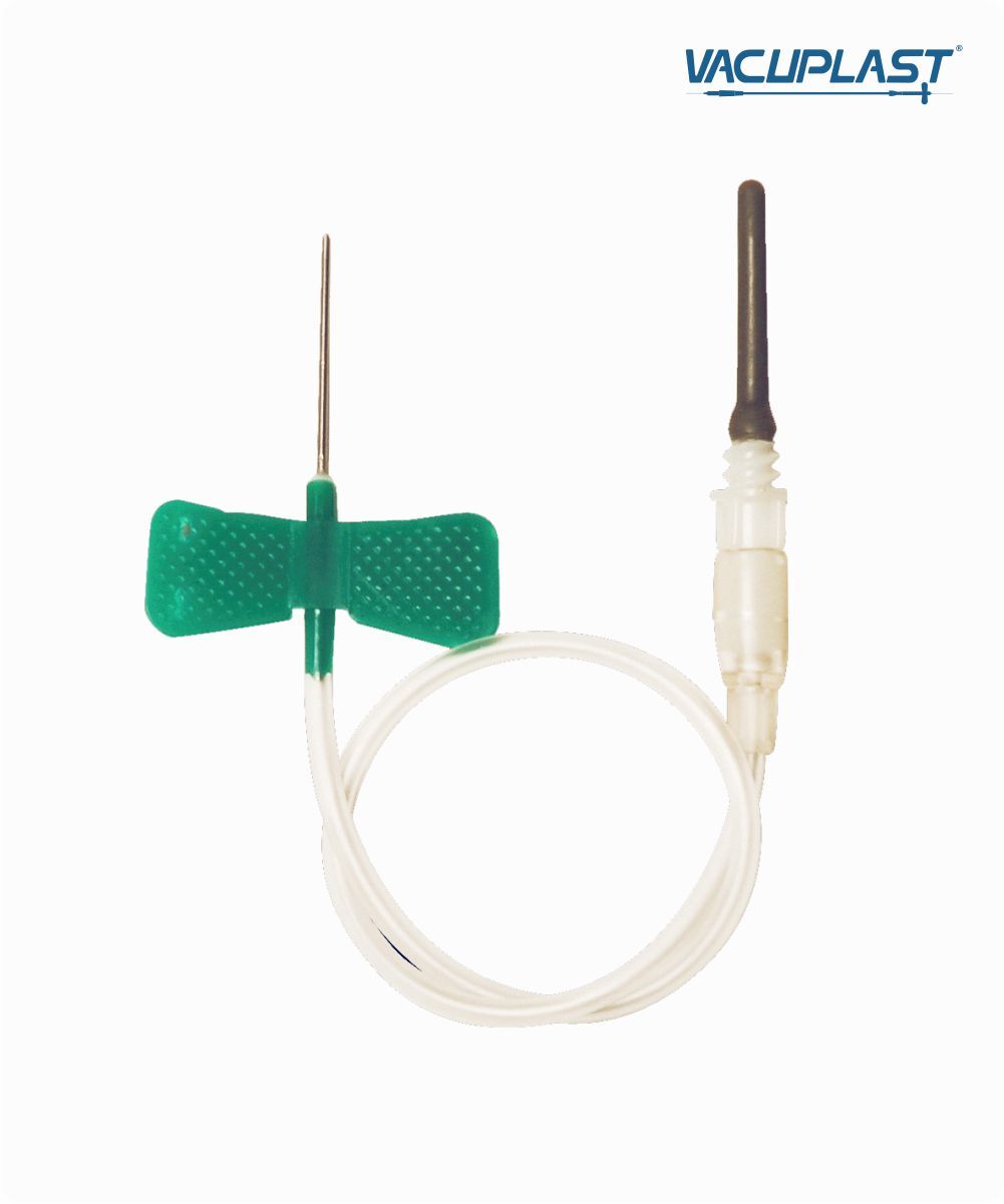 Escalpe para coleta de sangue a vácuo 21G